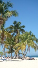 Fototapeta na wymiar Caribbean Island of Cayo Levantado in Samana Bay, Dominican Republic 