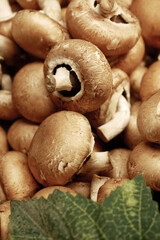 Heap of Champignon mushrooms, close up 