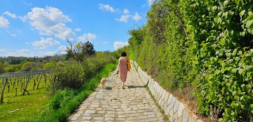 Frühlings-Spaziergang 