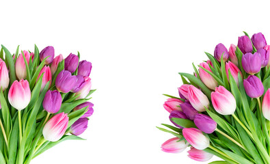 Fototapeta premium Pink fresh tulips