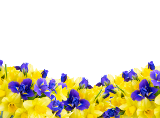 bouquet of daffodil and iris flowers