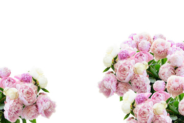 Fresh peony flowers