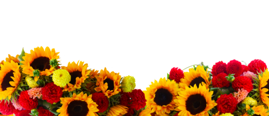 Dahlia and sunflowers