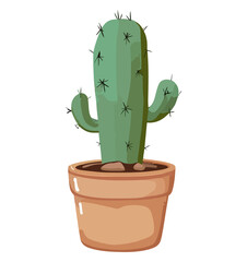 green cactus in a pot