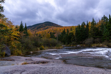 Fall scene by river