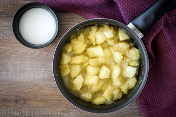 Fried Apple Pies recipe