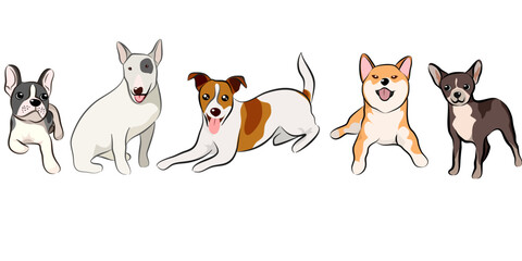 Dogs collection, Vector illustration of funny cartoon different breeds dogs in trendy flat style. Isolated on white.