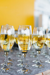 Glasses of champagne on table, closeup. Many glass of white wine. Party time on holiday. Buffet. Selective focus. Celebration of birthday, wedding or corporate party