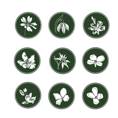 Set of nine logos of flowering plants: edelweiss, stellate, periwinkle, lilac, snowdrop - obrazy, fototapety, plakaty