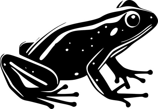 recommend clip art: Frog | Black and White Vector illustration