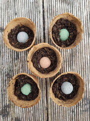 guerrilla gardening, surprise planting with seed bomb