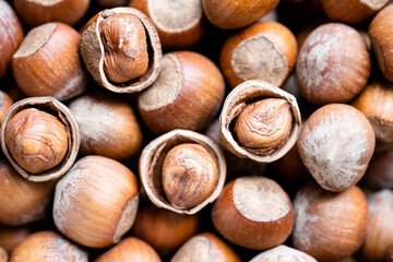 Pile of hazelnuts in a shell  close up