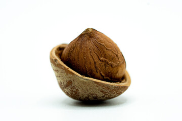 Hazelnut in a shell on white background