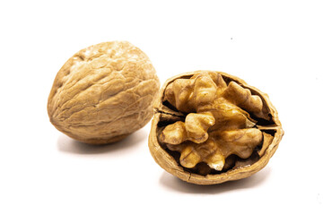 Walnuts in a shell 