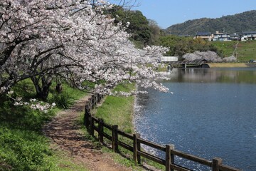 宇土市　立岡自然公園