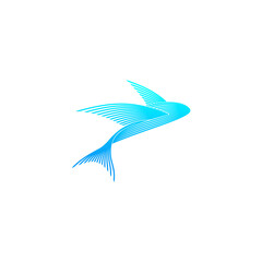 fish, line logo design template
