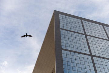 Fototapeta premium modern office building in the city