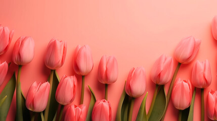 Spring tulip flowers on pink background top view in flat lay style. Greeting for Womens or Mothers Day or Spring Sale Banner. Generative AI
