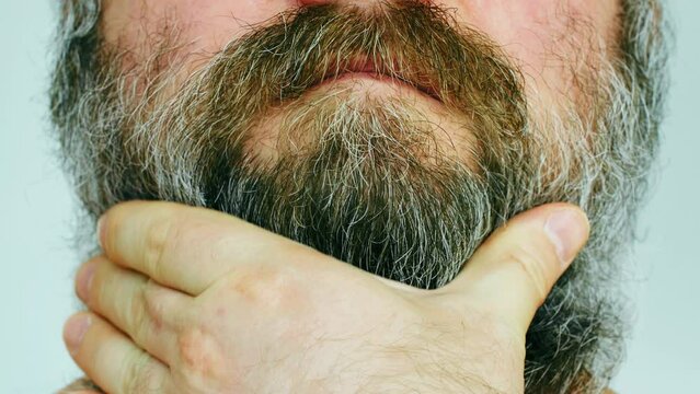 Adult man stroking his big beard. Close-up of a man face with a lush, unkempt gray brown beard and mustache. Barbershop and hairdressing client. Man straightens the long hair on his face with his hand