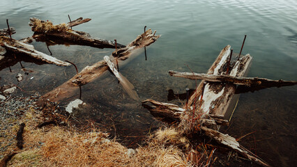 drift wood on the banks of the river in Bend Oregon