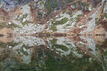 clear lake in the rocky mountains of the Alps in the fall, moss covered rocks and water reflection