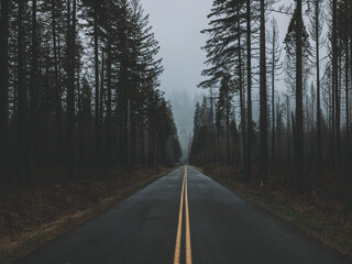 Obraz premium rainy road in Oregon on a cloudy day with yellow road lines 