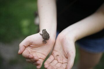 woman holding a frog