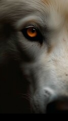 photo of the wolf's eye. AI generative 