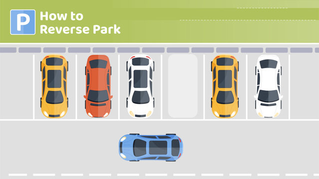 How to reverse park stage. Top view of cars in parking lot. Driving instruction, materials for drivers. Safe driving in city. Template, layout and mock up. Cartoon flat vector illustration