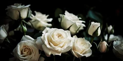 Foto op Aluminium Weiße Rosen Blüten mit dunklen Hintergrund - mit KI erstellt  © Marc Kunze
