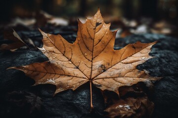 Shawinigan, Quebec city name with Canadian maple leaf in photo. Generative AI