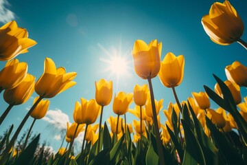 Bright yellow tulips with sun glare on blue sky background. Generative AI - obrazy, fototapety, plakaty