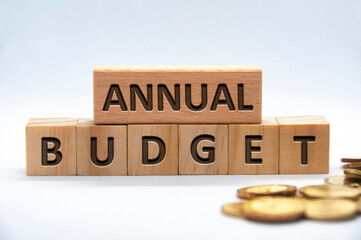 Annual budget text engraved on wooden blocks on white background cover. Business and budgeting concept