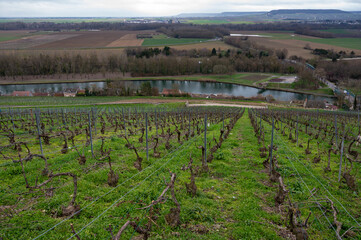 Fototapeta na wymiar View of Champagne gran cru vineyards and Marne river near Ay village at winter