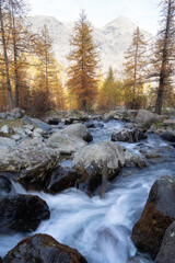 Vertical shot of mountain river in the forest in autumn, long exposure water flowing over rocks and colored trees