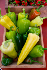Fresh ripe green, yellow sweet paprika pepper close up
