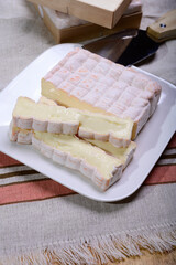 French cheeses collection, yellow Vieux Pane cheese with white mold