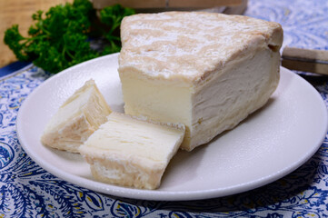 Piece of french soft-ripened white mold cow milk cheese brie produced in Seine-et-Marne region, France