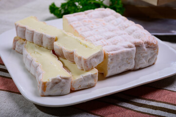 French cheeses collection, yellow Vieux Pane cheese with white mold