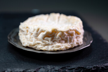 French cheeses collection, Saint-Marcellin cow's milk cheese from Rhône-Alpes region of France