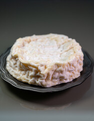 French cheeses collection, Saint-Marcellin cow's milk cheese from Rhône-Alpes region of France