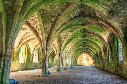 England, North Yorkshire, Ripon. Fountains Abbey, Studley Royal. UNESCO World Heritage Site. Cistercian Monastery. Ruins of vaulted cellarium where food was stored. 2017-05-03