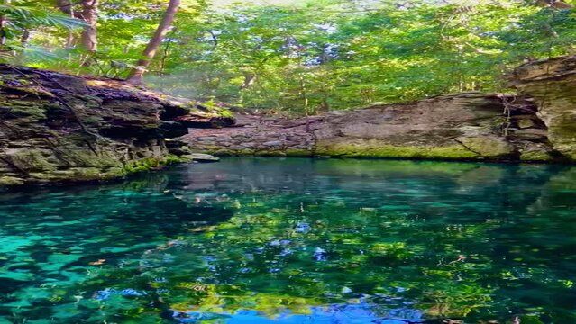 Pasando en un canal de agua estrecho en medio de la selva lacandona 