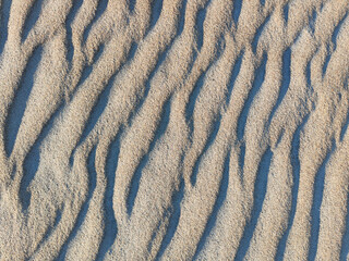 Natural wavy sand texture. Sandy beach pattern for background. Top view