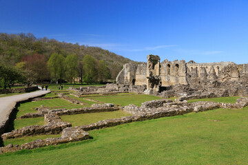 Fototapeta na wymiar England, North Yorkshire, Rievaulx. 13th c. Cistercian ruins of Rievaulx Abbey.