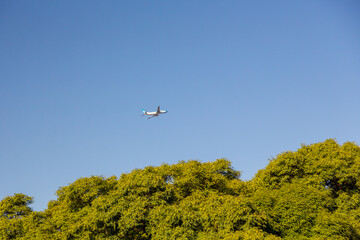 The plane takes off over the forest against the blue sky