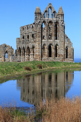 Obraz premium England, North Yorkshire, Whitby. Ruins of Benedictine monastery, Whitby Abbey.