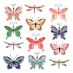 Set of multicolored colorful summer butterflies. Colored butterflies and dragonfly. Beautiful spring birds, moths, butterflies and dragonflies.