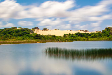 hill covered with vegetation on the edge of a river.