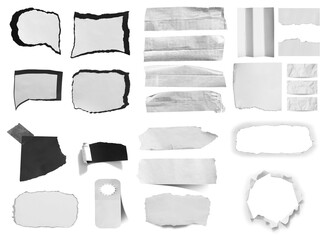 Collection of torn paper isolated on white background.